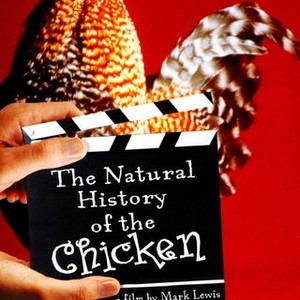 The Natural History of the Chicken photo 3