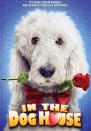 In the Dog House poster image