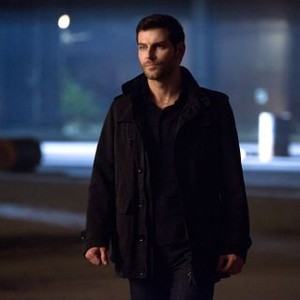 David Giuntoli - Rotten Tomatoes