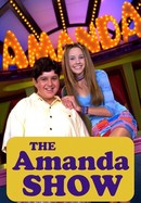 The Amanda Show poster image