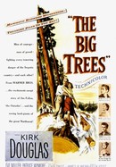 The Big Trees poster image
