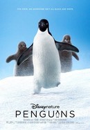 Penguins poster image