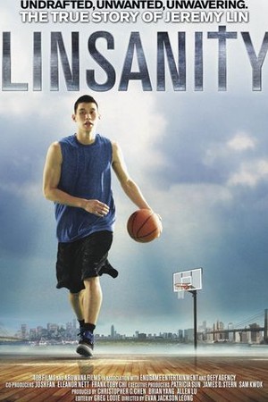 Linsanity poster
