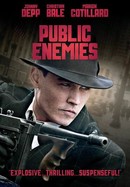 Public Enemies poster image