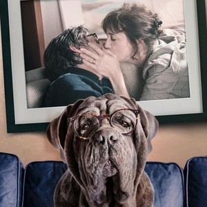 "My Dog Stupid photo 13"
