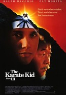 the karate kid 2010 free watch online megavideo the karate kid 2010 free watch online megavideo
