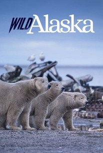 Wild Alaska: Season 1 poster image