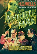 The Invisible Man poster image