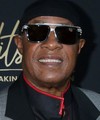 Stevie Wonder