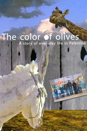 The Color of Olives poster