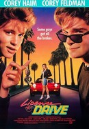 License to Drive poster image