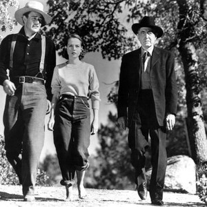 THE SHEPHERD OF THE HILLS, John Wayne, Betty Field, Harry Carey, 1941