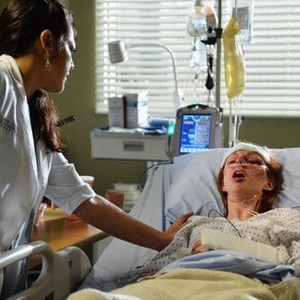 Meg Chambers Steedle - Rotten Tomatoes