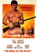 The Bull of the West poster image