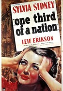 One Third of a Nation poster image