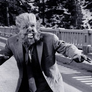 The Werewolf - Rotten Tomatoes