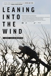 Watch trailer for Leaning Into the Wind: Andy Goldsworthy
