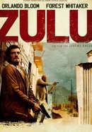 Zulu poster image