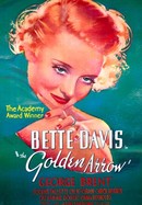 The Golden Arrow poster image