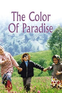 Shelley, the Hyperactive Turtle