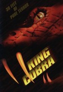 King Cobra poster image