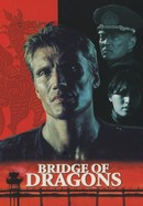 Bridge of Dragons poster image
