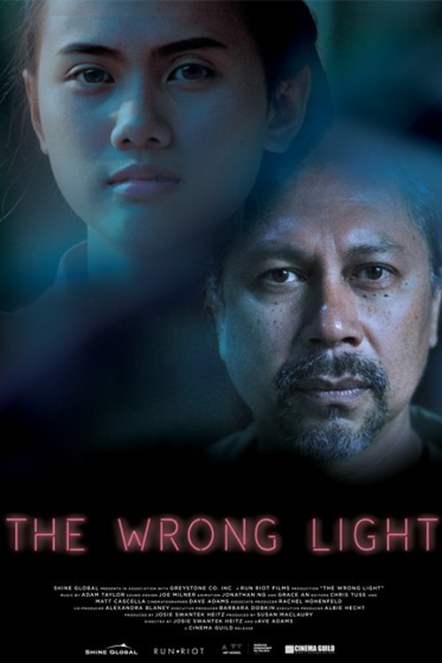The Wrong Light poster