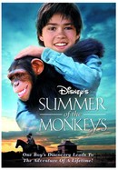 Summer of the Monkeys poster image