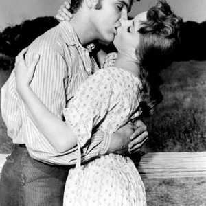 LOVE ME TENDER, Elvis Presley, Debra Paget, 1956, TM and Copyright (c) 20th Century Fox Film Corp. All rights reserved.