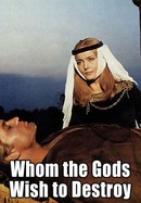 Whom the Gods Wish to Destroy poster image