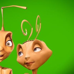 "Antz photo 17"