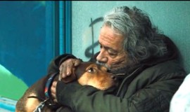 A Dog's Way Home: Official Clip - A Homeless Dog