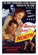 Mr. Denning Drives North poster image