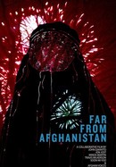 Far From Afghanistan poster image