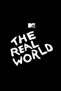 The Real World: Season 1 poster image