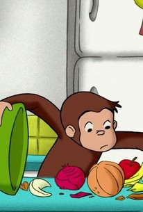 Curious George: Season 1, Episode 8 - Rotten Tomatoes