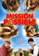 Mission Possible poster image