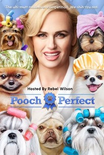 Pooch Perfect: Season 1 poster image