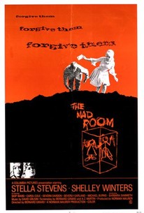 Poster for The Mad Room