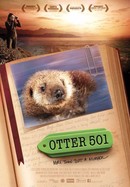 Otter 501 poster image
