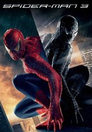 Spider-Man 3 poster image