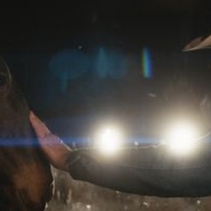 My Heroes Were Cowboys photo 14