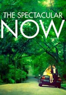 The Spectacular Now poster image