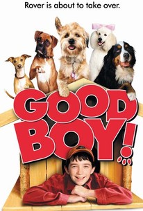 Good Boy! (2003) - Rotten Tomatoes