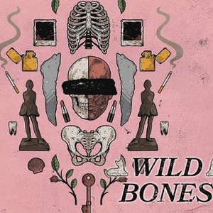 Wild bones hot sale