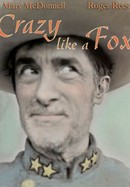 Crazy Like a Fox poster image