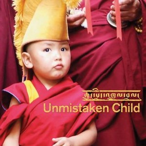 Unmistaken Child (2008) photo 15