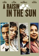 A Raisin in the Sun poster image
