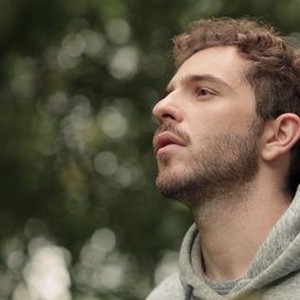 Horseplay - Rotten Tomatoes