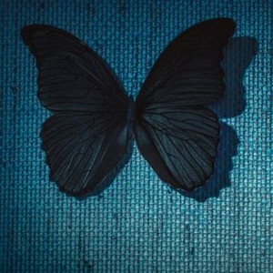 Black Butterflies - Rotten Tomatoes